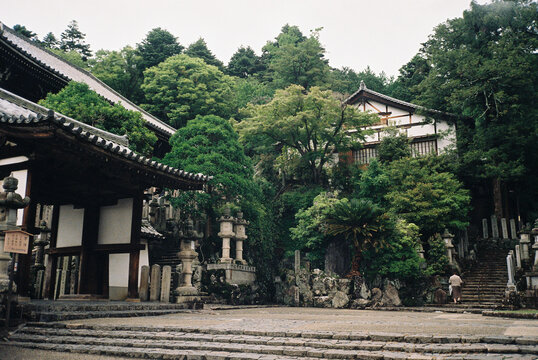 Film Photo of Japanese Temple Courtyard with Stone Lanterns