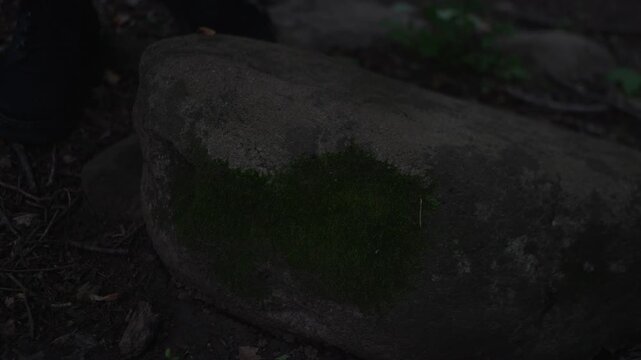 Hand touching a moss-covered rock in a forest, symbolizing grounding, mindfulness, and connection with nature.