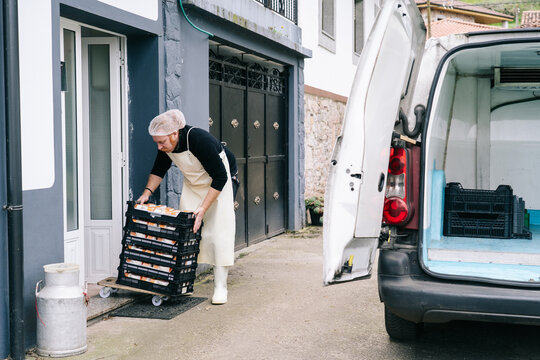 Artisan cheesemaker loading cheese crates into delivery van