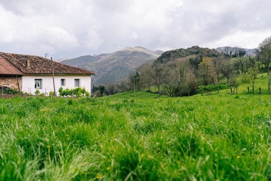 Rural village house view from green grass field