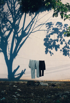 Laundry on Clothesline with Tree Shadow on White Wall
