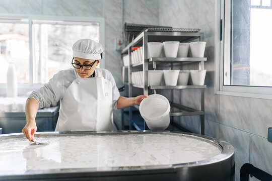 Artisan cheesemaker stirring milk curds in production vat