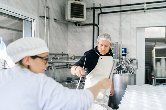 Artisan cheesemakers preparing cheese in a small rural factory