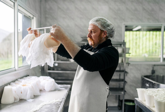 Artisan cheesemaker draining fresh cheese in dairy factory