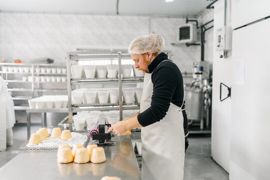Cheesemaker making artisanal cheese in a dairy factory.