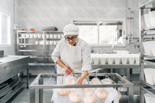 Artisan cheesemaker handling cheese draining in small factory