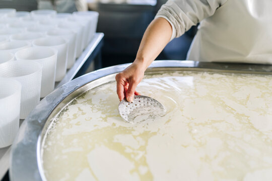 Artisan cheesemaker stirring curd during cheese production