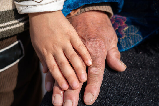Hands of grandchild and grandparent