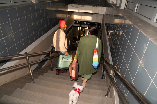 Couple and Dog Walk Down Stairs With Luggage at Travel Location