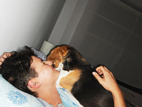 Person cuddling beagle in bed showing pet affection