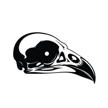 Detailed black and white of a bird skull, side profile, gothic keywords: bird, skull, black