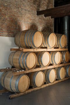 Wooden Barrels Aging Wine in a Traditional Cellar