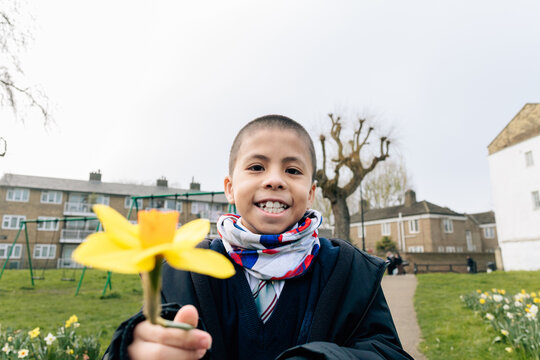 Smiling schoolboy holding a daffodil flower in spring