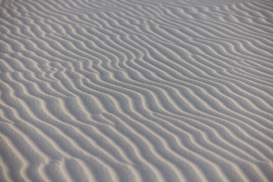 Sand Ripple Texture