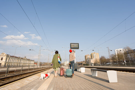 Walking at the Train Station With Luggage and a Dog