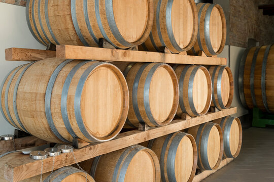 Rows of Oak Barriques for Wine Aging in a Winery Cellar