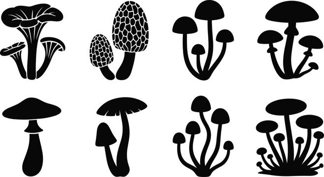 Professional collection of diverse mushroom silhouettes featuring morels chanterelles and forest fungi isolated on a white background