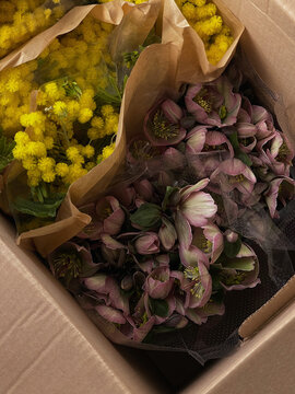 Colorful  bouquet in a box