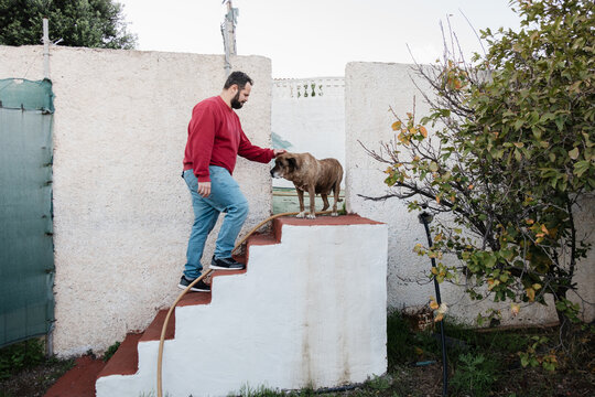 Man petting dog on outdoor stairs bonding
