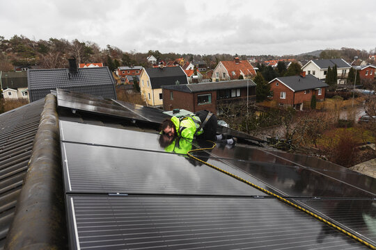 Female technical expert inspecting solar panels