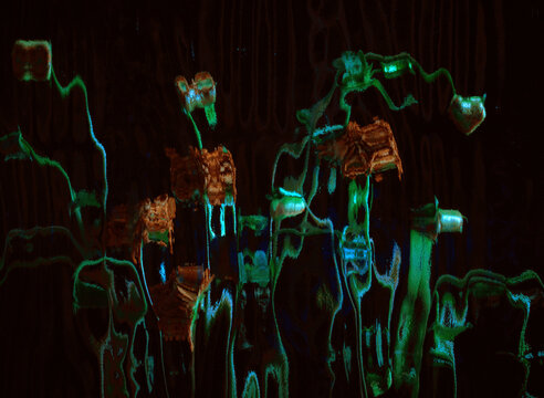 Withered flowers seen through patterned glass &ndash; an abstract image
