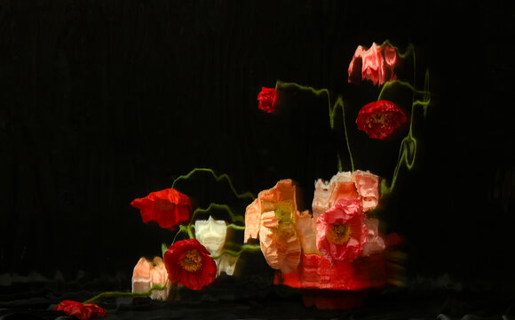 Flowers and plants seen through distorted glass