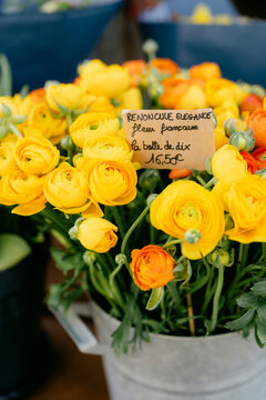 Ranunculus flowers for sale in French flower shop