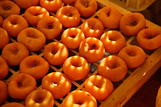 Closeup of dried persimmons drying in the natural sunlight