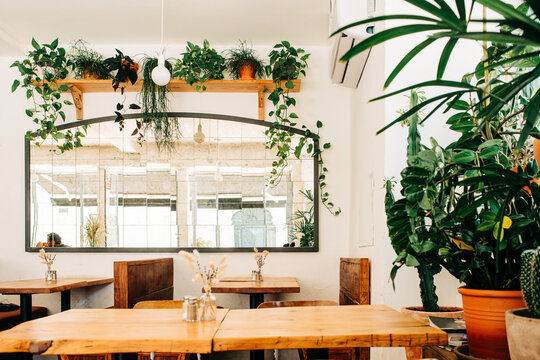 Cozy cafe interior with wooden tables green plants and wall mirror