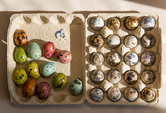 Colorful quail eggs arranged in an egg carton with some eggs