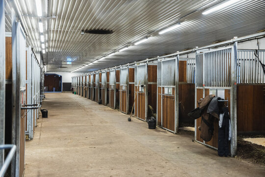 Professional Horse Stable Interior with Row of Stalls