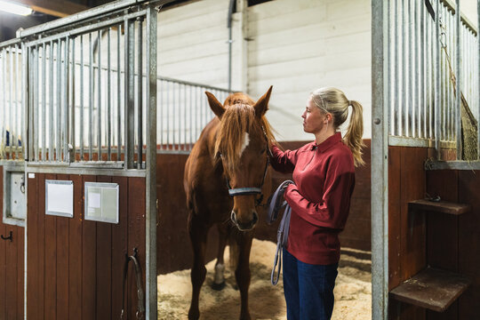 Woman Petting Her Horse Inside a Professional Stable Stall