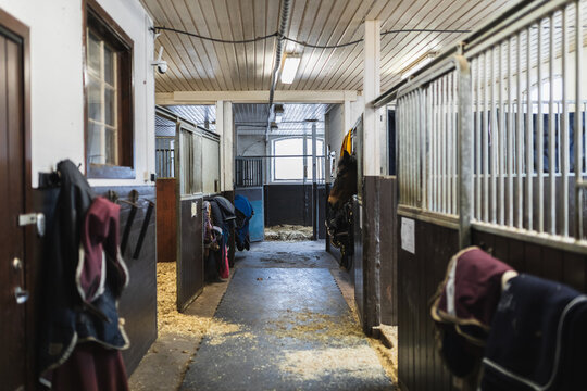 Empty Stable Aisle Interior with Stalls and Gear