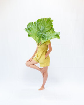 Woman with giant rhubarb leaf 10