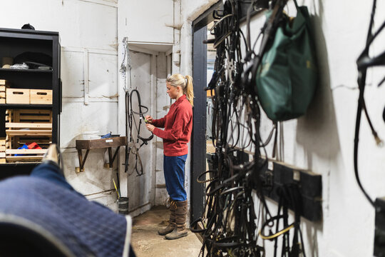 Organizing Bridles and Equipment in Stable Tack Room