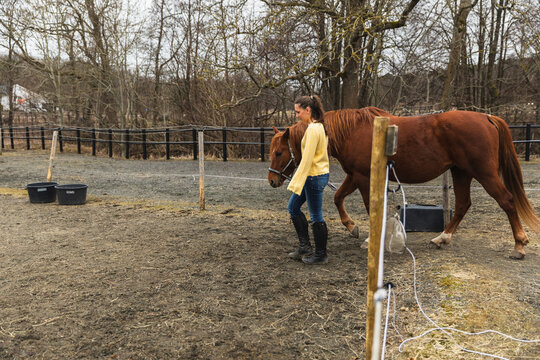 Woman Leading a Horse in an Outdoor Paddock During autumn