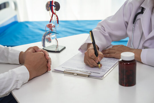 Close up of urologist pointing at anatomical model during medical consultation.