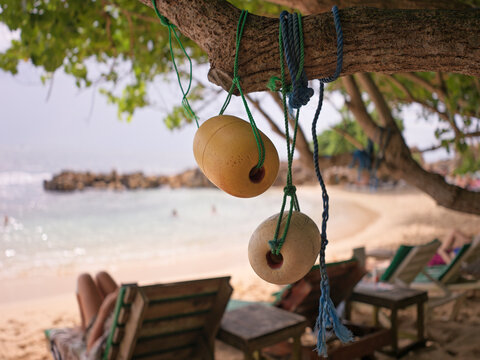 Hanging Floats on a Tree Near the Beach and Chairs at Sunset