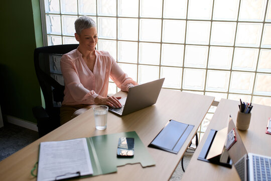 Portrait of a businesswoman working in a modern office