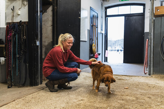 Young Woman Petting a Friendly Dog in a Horse Stable