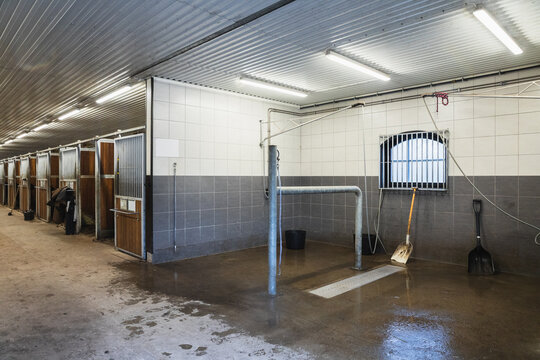 Modern Horse Wash Stall and Grooming Station in a Stable