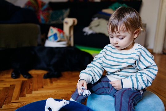 Toddler Boy Playing With Toy Animals At Home
