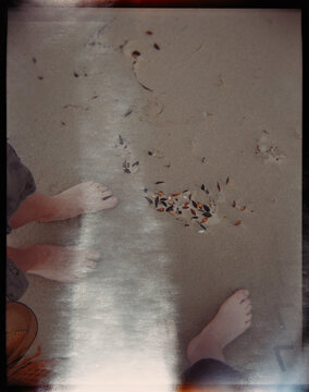 Footprints in the Sand by the Beach With Seashells Scattered