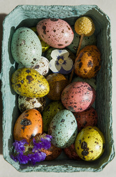 Colorful speckled eggs arranged in a carton with small flowers 