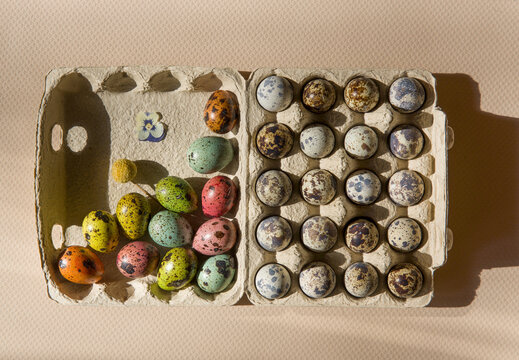 Colorful quail eggs arranged in an egg carton with some eggs