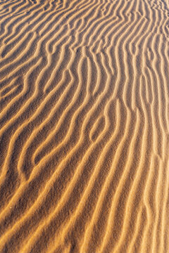 Abstract texture of wind ripples on golden sand dunes