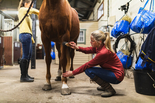 Female Rider Cleaning Horse Hoof with Pick Tool