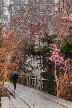 Rainy spring day
