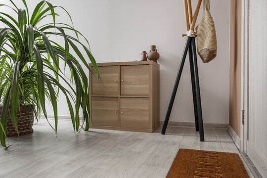 Chest of drawers and houseplant near light wall in interior of hallway