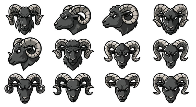 Collection of Black Ram Heads with Majestic Horns.